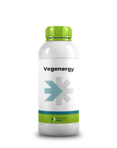 Vegenergy 1L