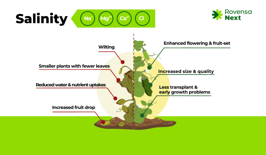 Combat salinity with rovensa next