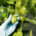 Integrated Pest Management: A sustainable approach to agriculture - Rovensa Next