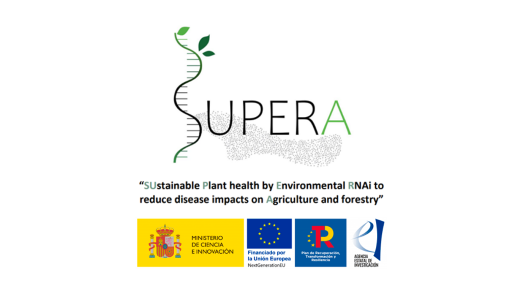 An R&D and innovation project that centers on increasing and enhancing understanding of the mechanisms of RNA interference (RNAi) in plant health to boost environmentally friendly agricultural and forestry productivity. Project financed by the European Union NextGenerationEU.