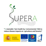 An R&D and innovation project that centers on increasing and enhancing understanding of the mechanisms of RNA interference (RNAi) in plant health to boost environmentally friendly agricultural and forestry productivity. Project financed by the European Union NextGenerationEU.