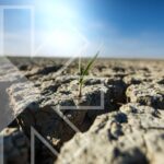 Adapting to climate change in agriculture - strategies for a resilient future