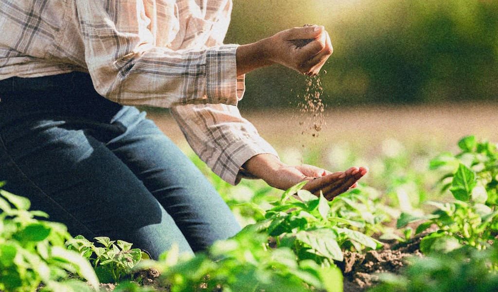 agriculture-soil-and-farmer-hands-with-environmen